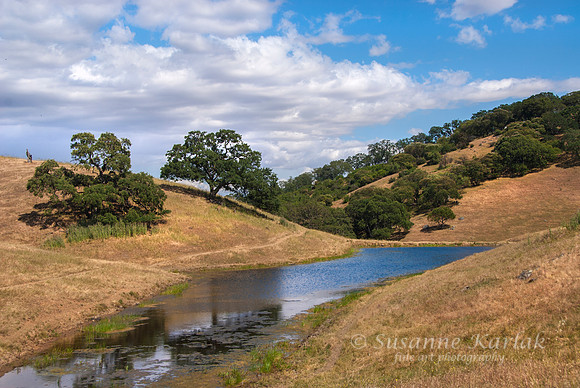 Golden Hillsand Winding Creek #0083