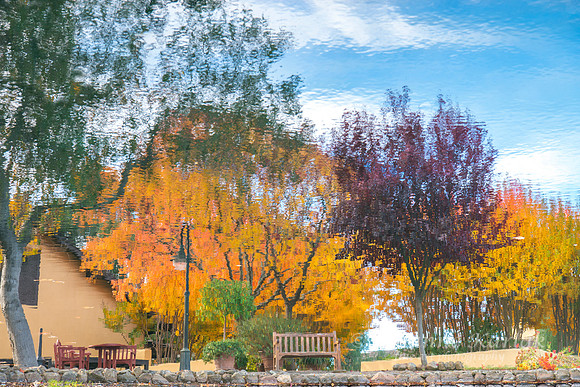 Winery Reflection #0862.2