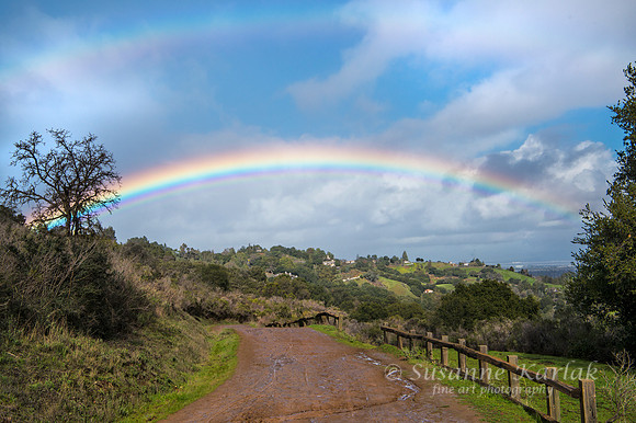 The Promise of the Rainbow #4993.4