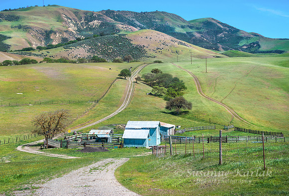 Path to Farm and Green Hills #9933.3