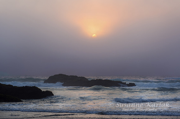 Ft. Bragg Foggy Sunset #6308