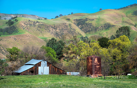 Early California Scene #0092.2