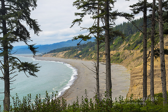 Patrick Point #6685
