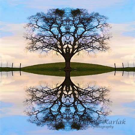 Winter Tree of Life