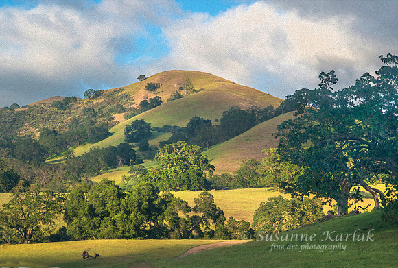 California Summer #4925op