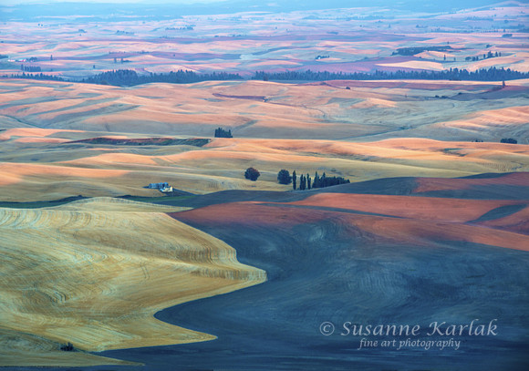 Palouse Palette #8122