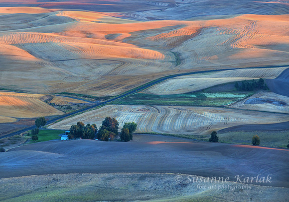 Palouse Autumn #8120