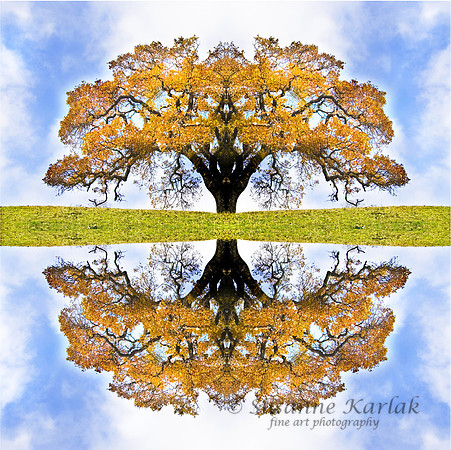Autumn Tree of Life