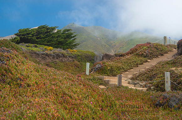Steps to Garrapate Beach #2907.2