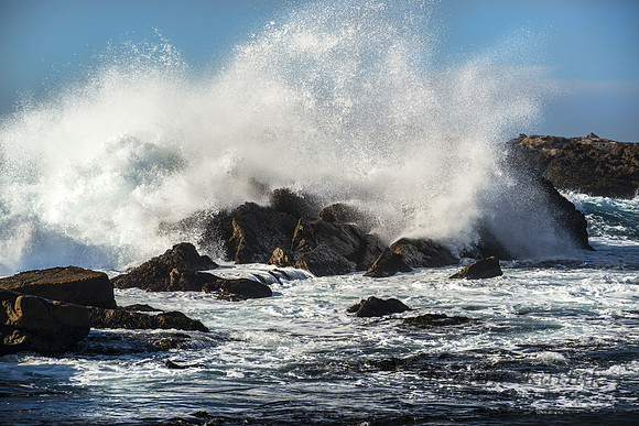 Pt Lobos Wave #6671