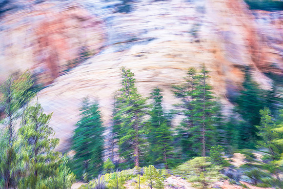Painterly Pines #3468