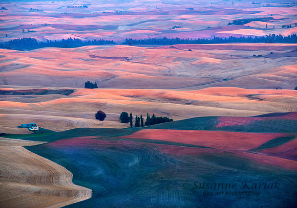 Palouse Design #8127