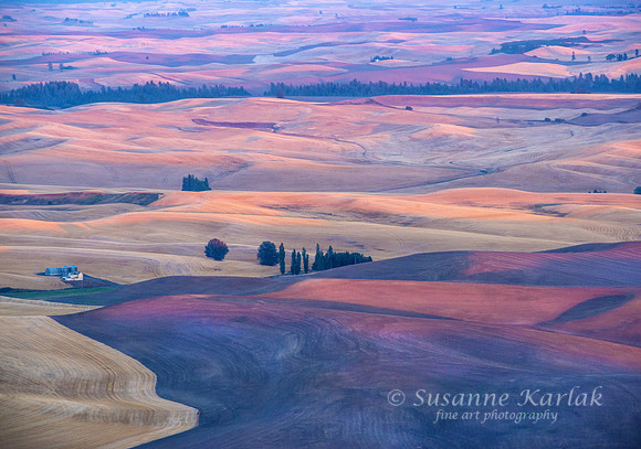 Palouse Palette #8127