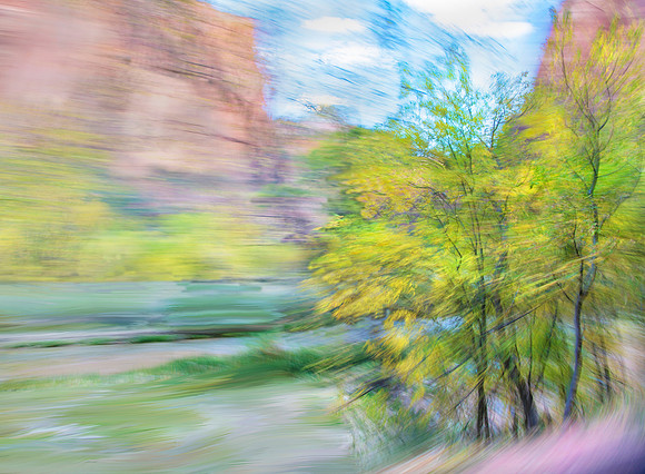 Painterly Zion Trees #1896.5