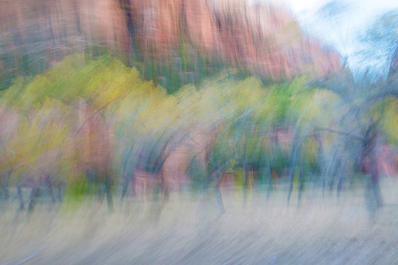 Painterly Zion Trees #1830.2