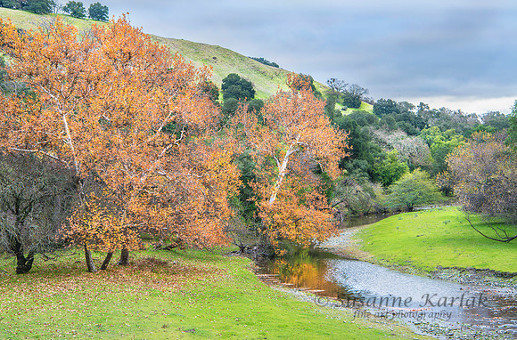 Sunol Autumn #2234