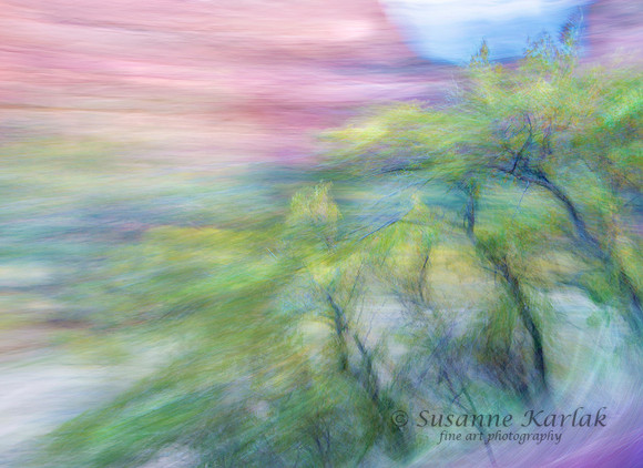 8x11_DSC1849.2