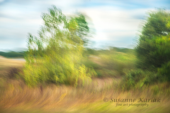 Provence 4644.2