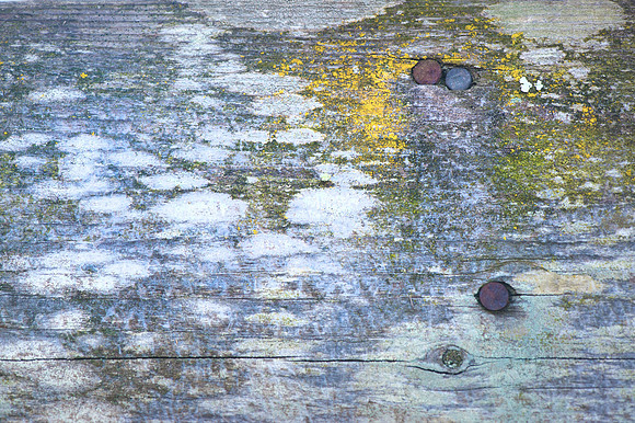 Three Circles #6304