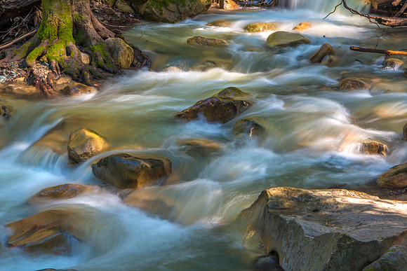 Saratoga Creek #5437.2