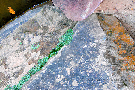 Rock Formation, Zion Nat. Park #926