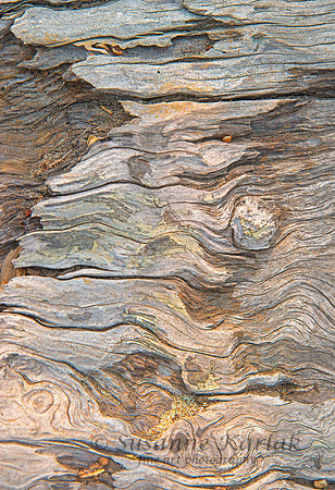 Driftwood #6285.2