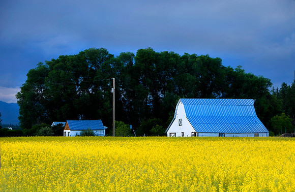 Light on the Barn #0003