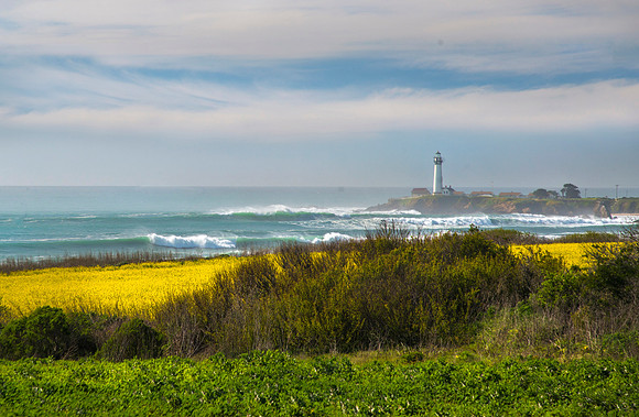 Pigeon Point #6277.2