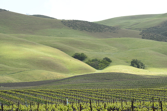 Soft Hills #9026