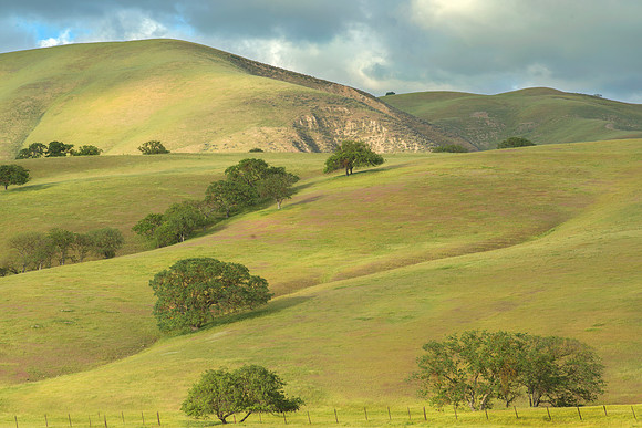 Summer Hills #9464