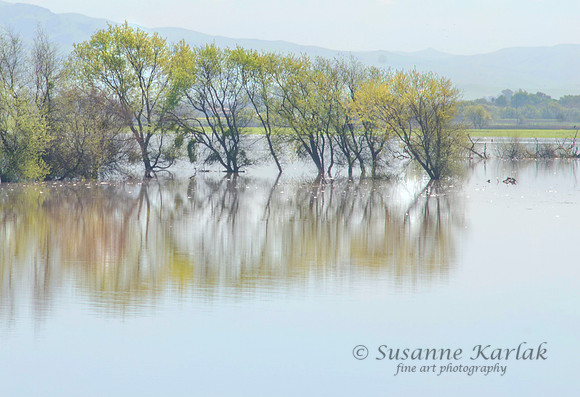 San Felipe Lake,  #6728.6