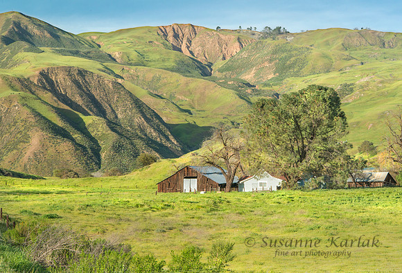 California's Heritage #7147.2