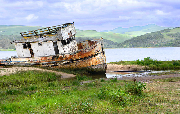 Point Reyes Shipwreck #259.2