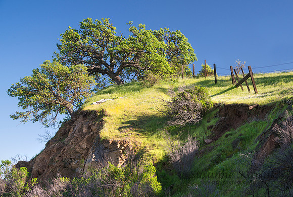 On a Cliff #8487.2