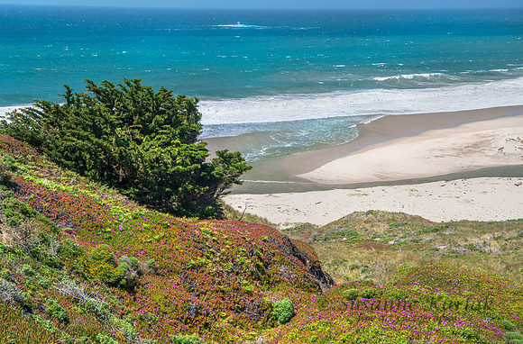 Shoreline Colors #8612.2