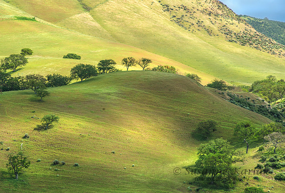 California Spring #9086.2
