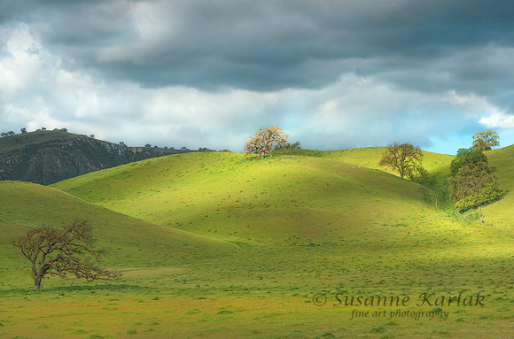 California Spring #9364.2