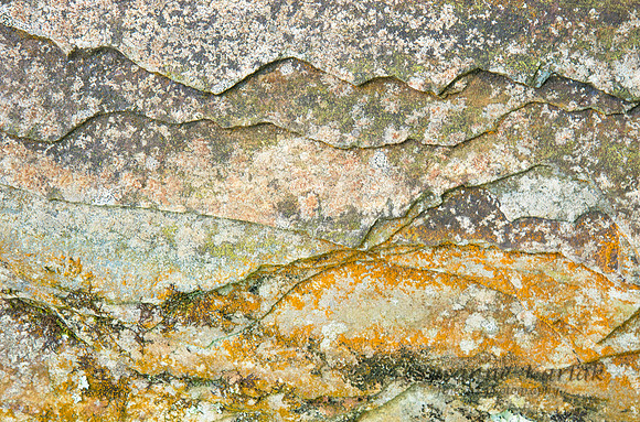 _DSC4595.2