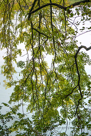 _DSC6175.2
