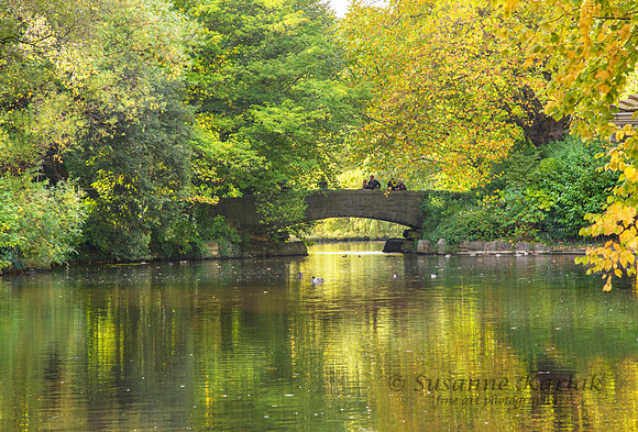 Bridge with Autumn Colors #3703.2