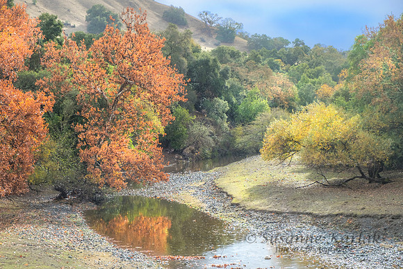 Sunol Regional Park#2787.3