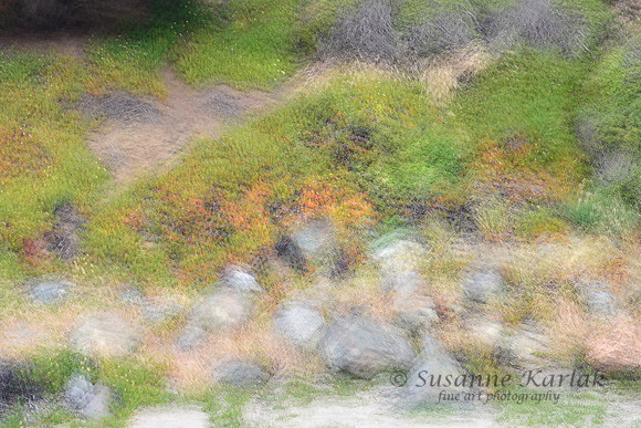 Painterly Rocks and Trees #1382