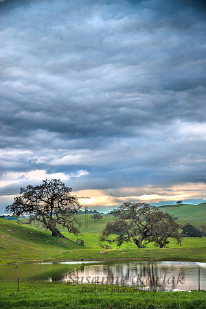 Clearing Storm #1962