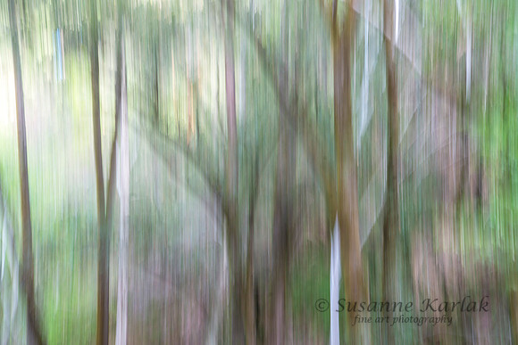 Painterly Forest #5741