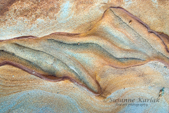 Point Lobos Designs #0292