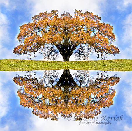 Autumn Tree of Life
