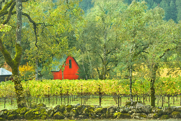 Vineyard and Red House #0403ver3