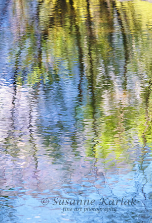 Mirror Lake Reflection #2769