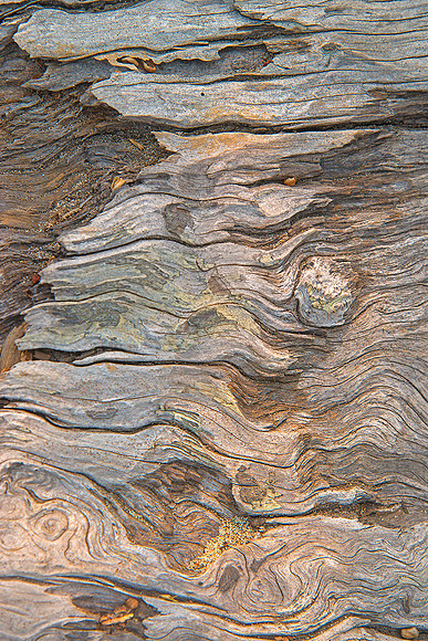 ppDSC_6285.2