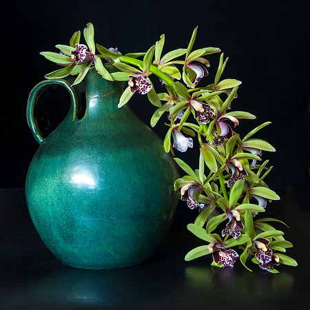 Green Vase and Orchid #0010rw